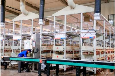 探尋天能&ldquo;新質&rdquo;之美,看天能如何引領行業&ldquo;智造進階&rdquo;!