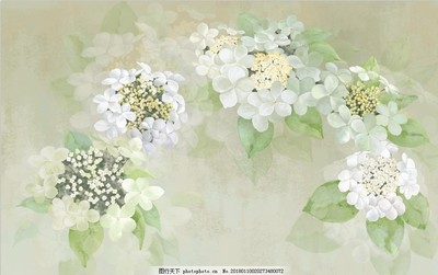 花卉插畫與苗木 藝術(shù)與自然的詩意交融